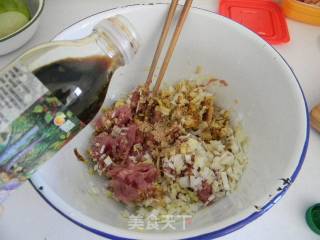 Steamed Dumplings with Pork and Radish recipe