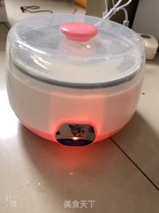 Yogurt Homemade recipe