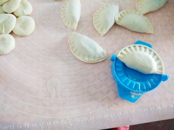 Shrimp and Leek Dumplings recipe