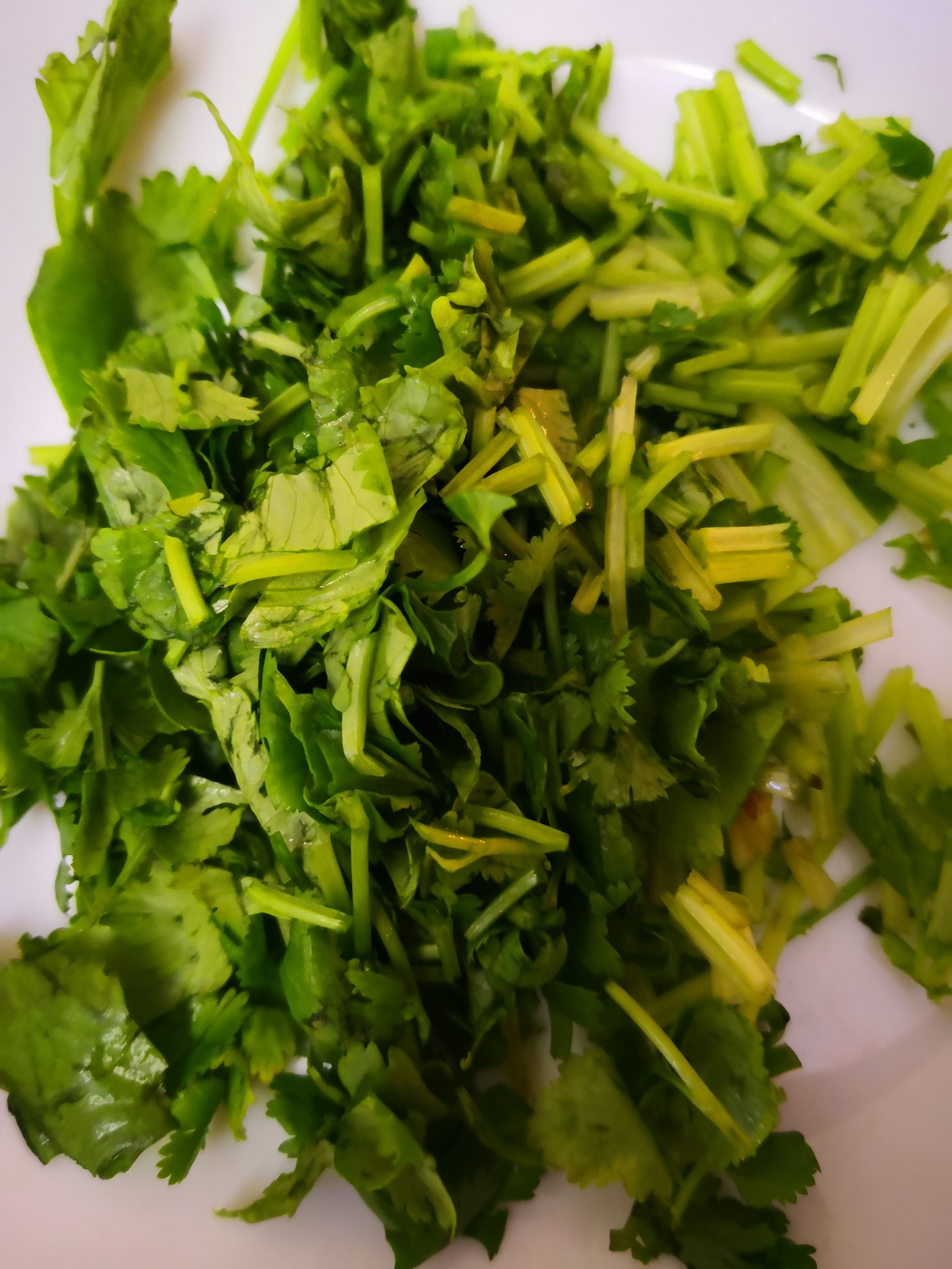 Cilantro Pie with Tahini Sauce recipe