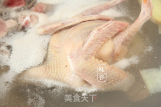 (moisturizing, under Fire) Stewed Pigeon Soup with American Ginseng recipe