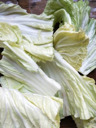 Vinegar Cabbage recipe
