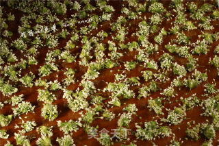 Leek Flower Sauce recipe