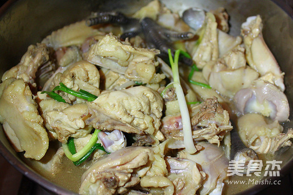 Braised Chicken with Mountain Mushrooms recipe