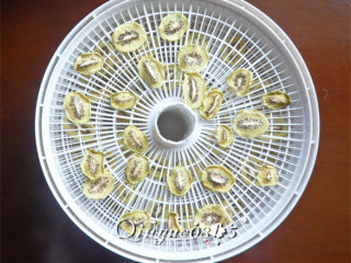 Homemade Dried Kiwi recipe