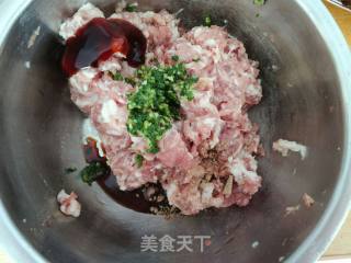 Mushroom Meatball Soup recipe