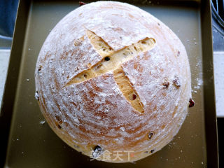 Cranberry Soft European recipe