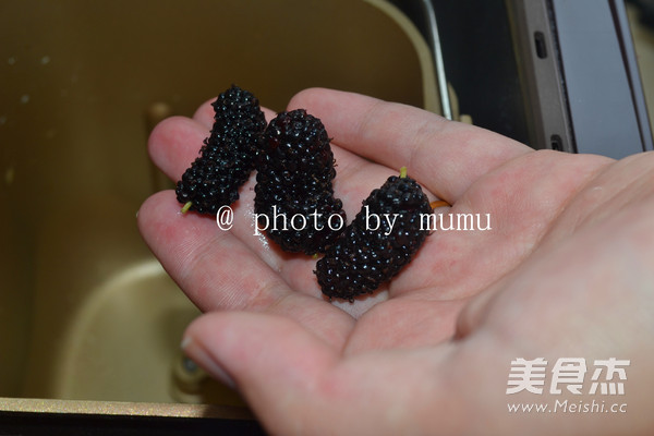 Mulberry Jam recipe