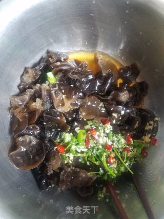 Cold Fungus recipe