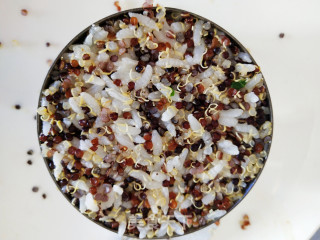 Tricolor Quinoa Rice Fort recipe