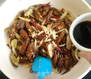 [fragrant and Crispy Mouth] Dry Stir-fried Silkworm Pupa recipe