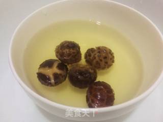 Tea Tree Mushroom Old Duck Soup recipe