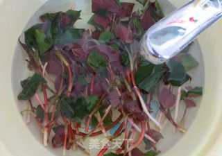 One Dollar Seasonal Side Dish——pleurotus Ostreatus in Cold Dressing recipe