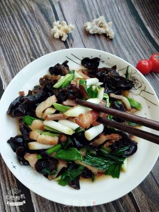 Stir-fried Pork with Garlic Seedlings Fungus recipe