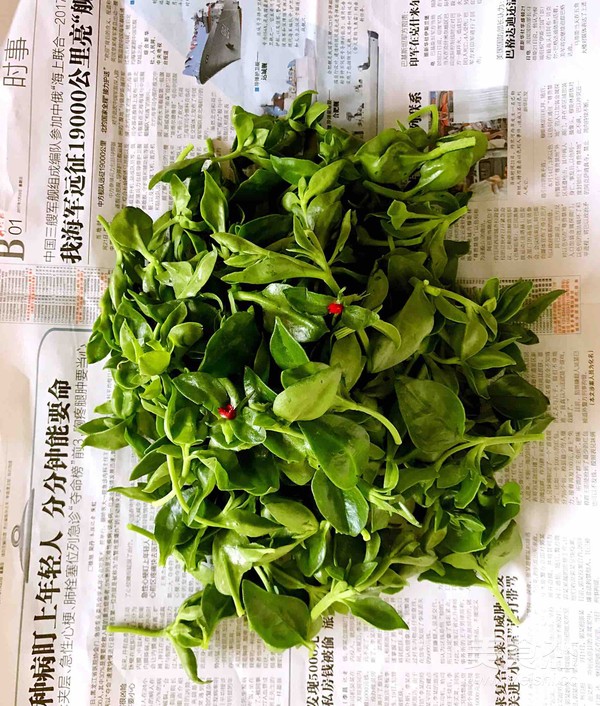 Andrographis recipe