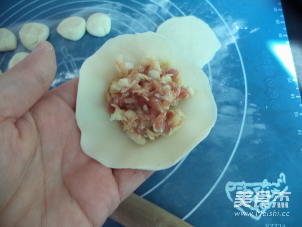 Pork Cabbage Dumplings recipe