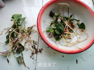 Folded Roots in Water Tempeh Sauce recipe