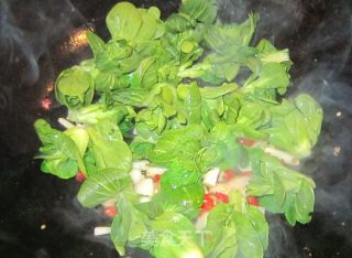 Dry Roasted Old Tofu recipe