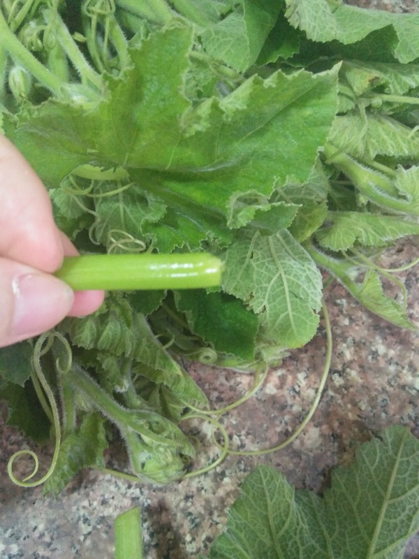 Vegetarian Fried Pumpkin Tip recipe