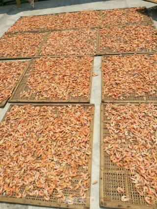 Traditional Dried Shrimp Production recipe