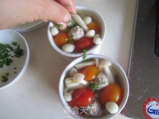 Mushroom Tomato Meatball Soup recipe