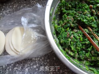 Fennel Beef Fried Dumplings recipe