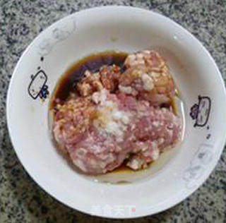 Loofah Meat and Gluten recipe