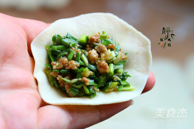 Leek Zucchini Pork Dumplings recipe