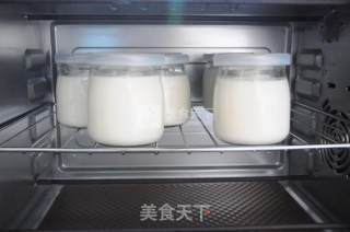 Homemade Delicious Bottled Yogurt recipe