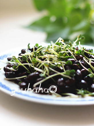 Radish Sprouts Mixed with Black Natto recipe