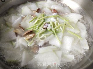 Yellow Clam and Winter Melon Soup recipe