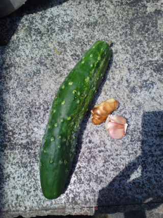 Vegetarian Fried Cucumber recipe