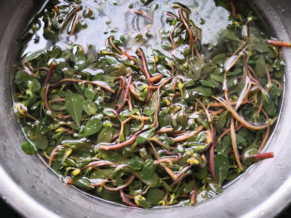 Purslane Steamed Dumplings recipe