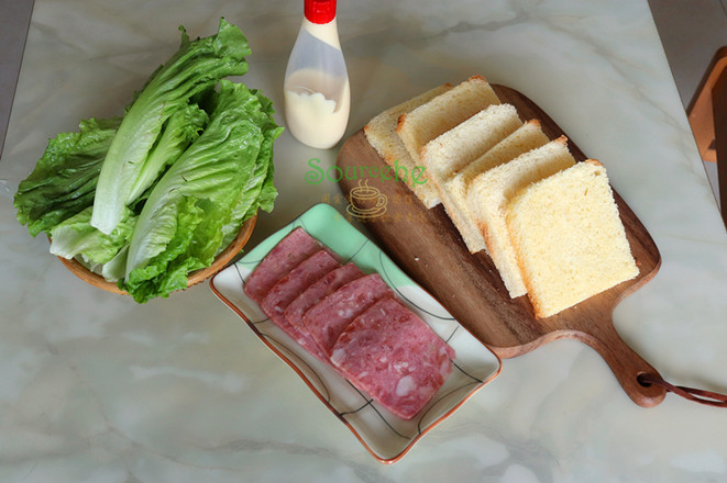 Toast Sandwich recipe