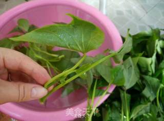 Stir-fried Sweet Potato Leaves with Garlic recipe