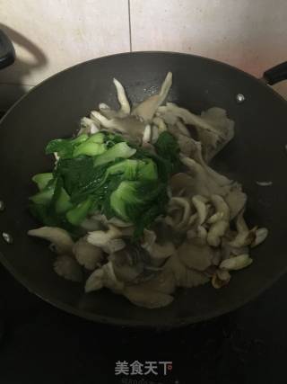 #trust之美#roasted Mushroom Choy Sum recipe