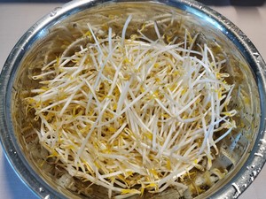 Bean Sprouts, Super Simple and High Value recipe