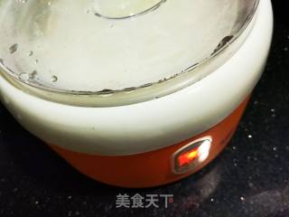 #trust之美#how to Make Yogurt at Home recipe