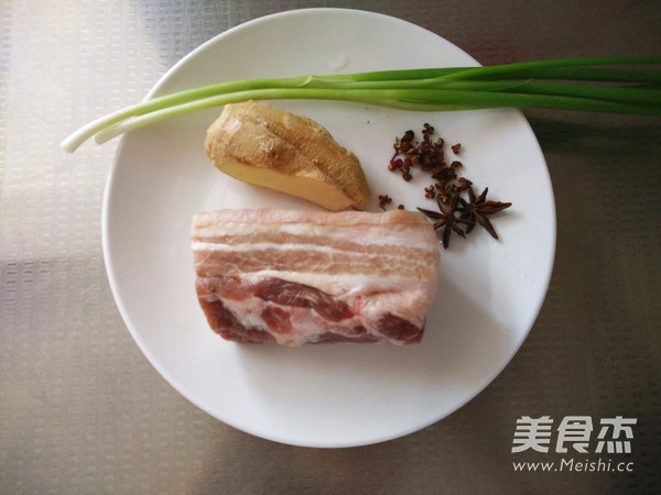 Microwave Braised Pork recipe
