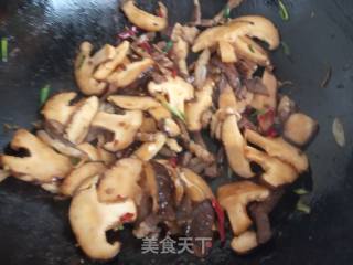 Stir-fried Celery with Lamb and Shiitake Mushrooms recipe