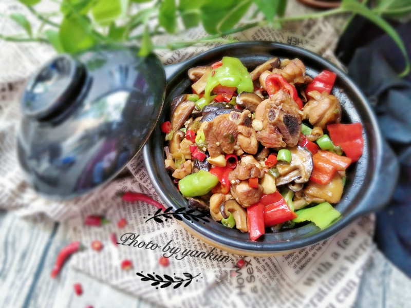 Home Version Yellow Braised Chicken recipe