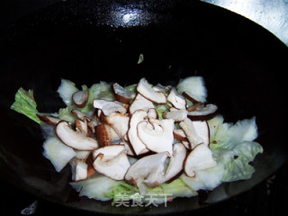 Mushroom Vinegar and Cabbage recipe