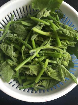 Stir-fried Pumpkin Vine recipe