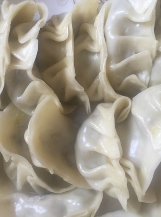 Vegetarian Dumplings recipe