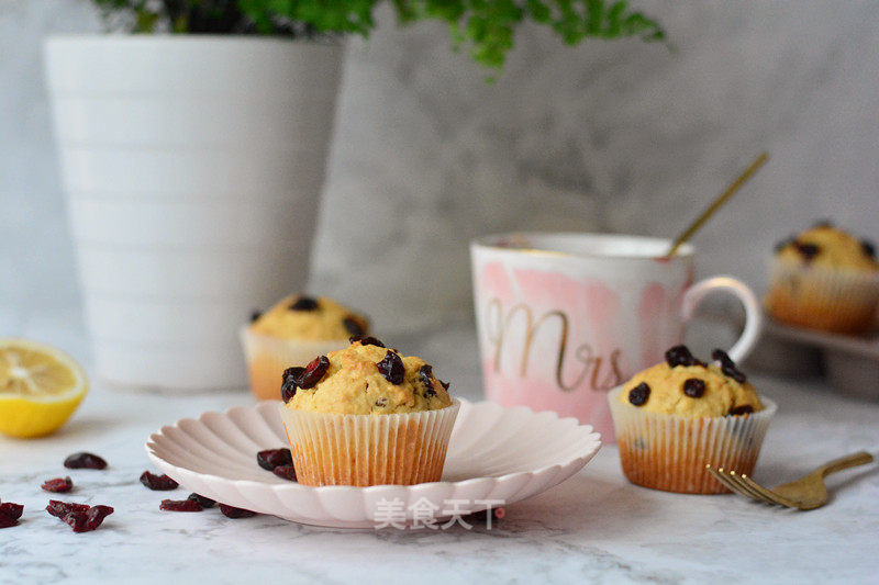 Dried Fruit Oat Muffin recipe