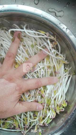 Mung Bean Sprouts recipe