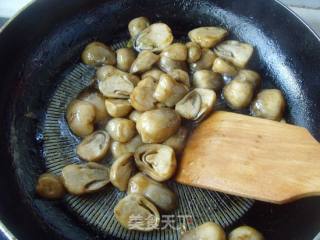Delicious and Sweet --- Straw Mushrooms in Oyster Sauce recipe