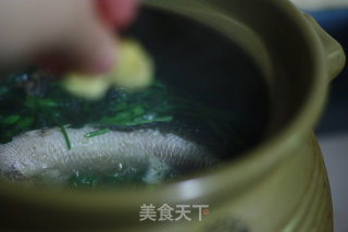 Watercress Chen Kidney Raw Fish Soup recipe