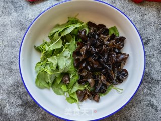 Nepeta Mixed Fungus recipe