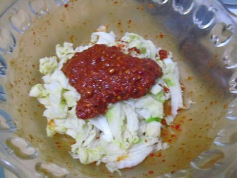 Kimchi recipe